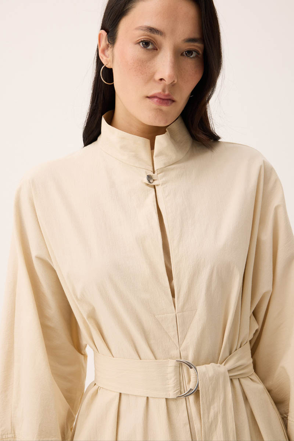 Dik Yaka Düğmeli Elbise Taş - 3